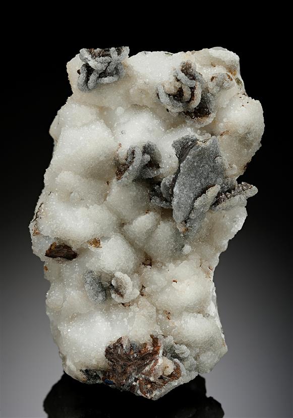 CC13241 specimen image