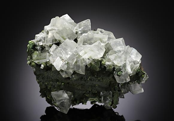 CC13245 specimen image