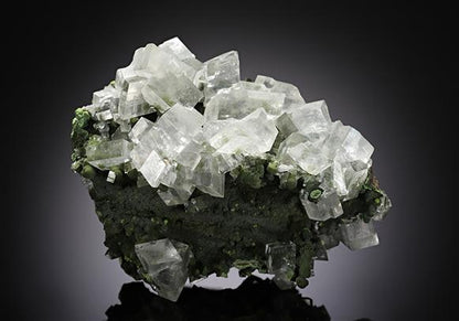 CC13245 specimen image