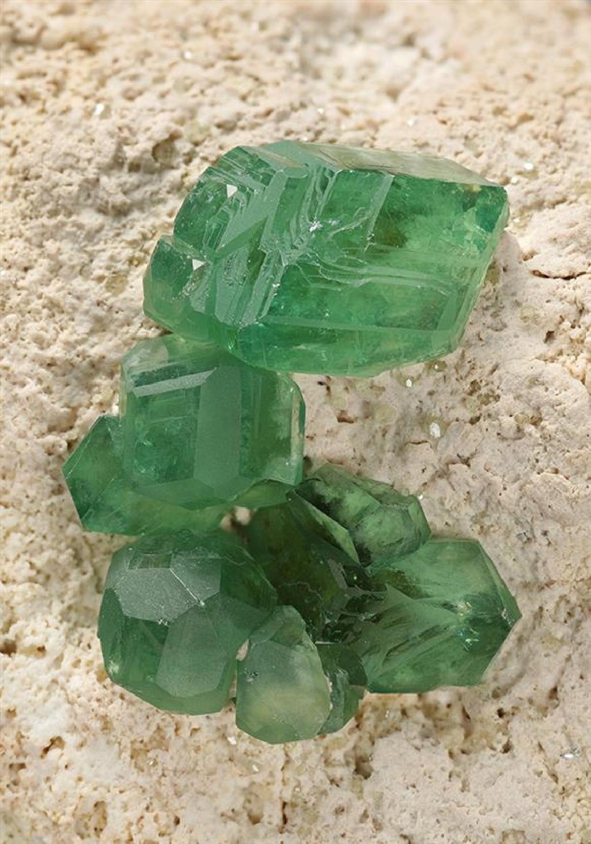 CC13247 specimen image