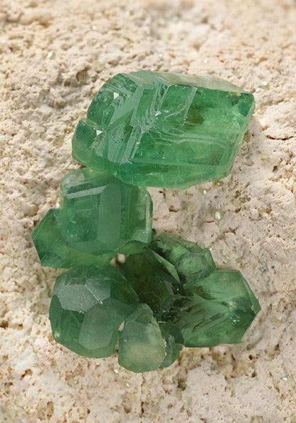 CC13247 specimen image