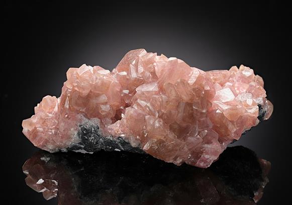 CC13249 specimen image
