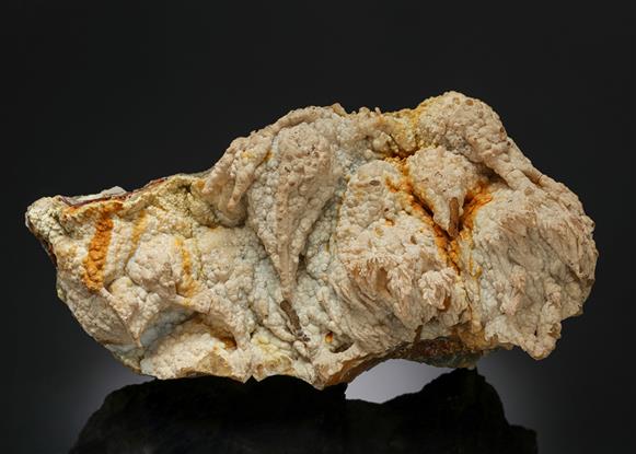 CC13256 specimen image