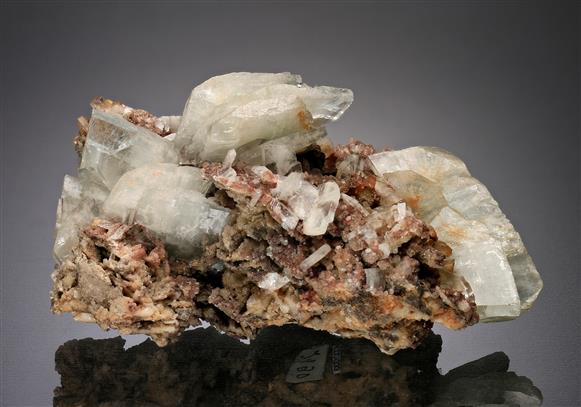 CC13258 specimen image