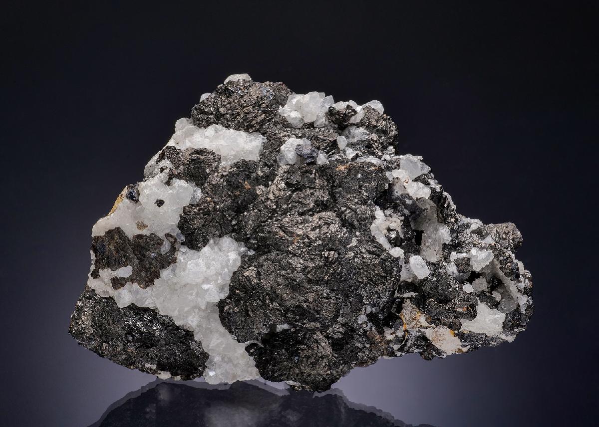 CC13272 specimen image