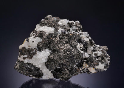 CC13272 specimen image
