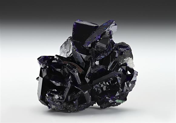 CC13284 specimen image