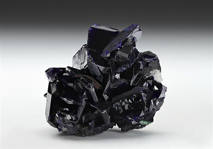 CC13284 specimen image