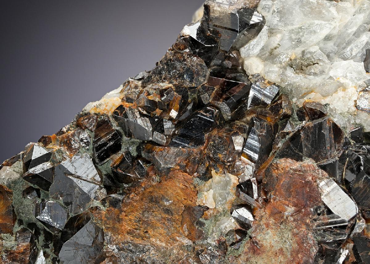 CC13301 specimen image