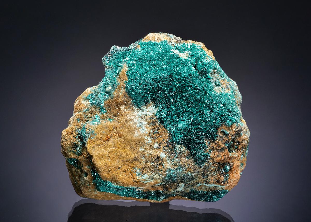 CC13303 specimen image