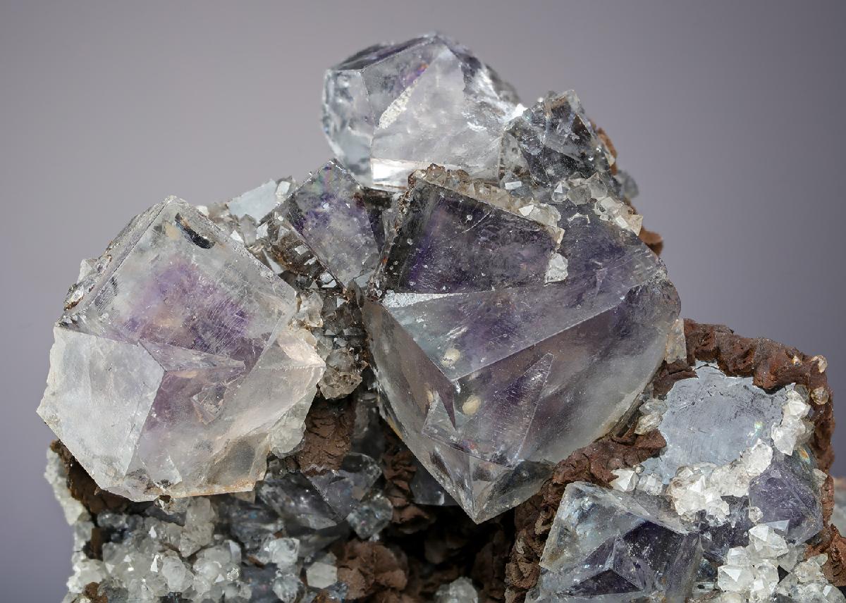 CC13304 specimen image