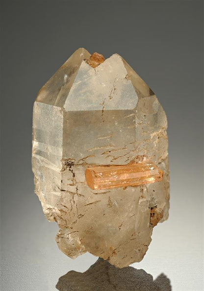 CC13314 specimen image
