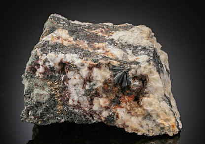 CC13323 specimen image