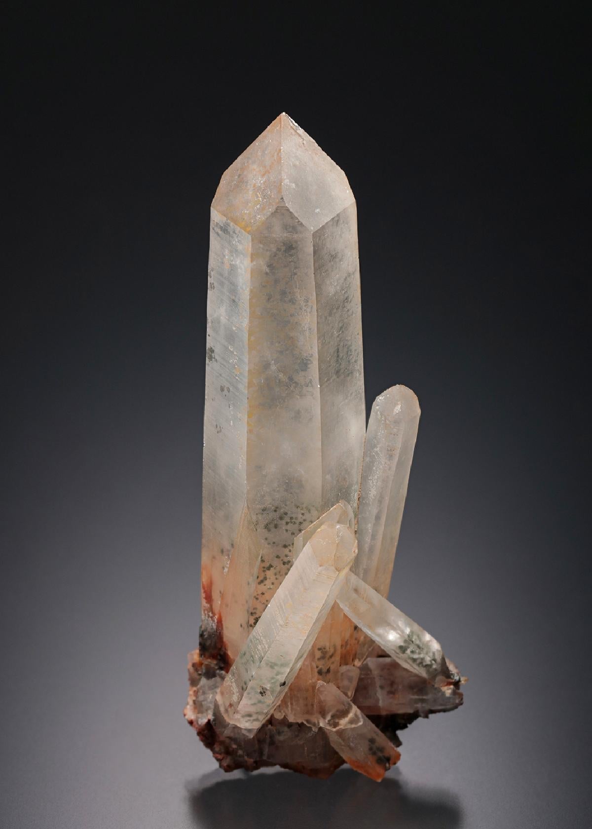 CC13328 specimen image