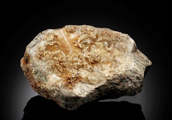 CC13329 specimen image