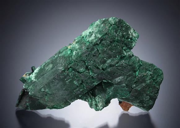 CC13350 specimen image