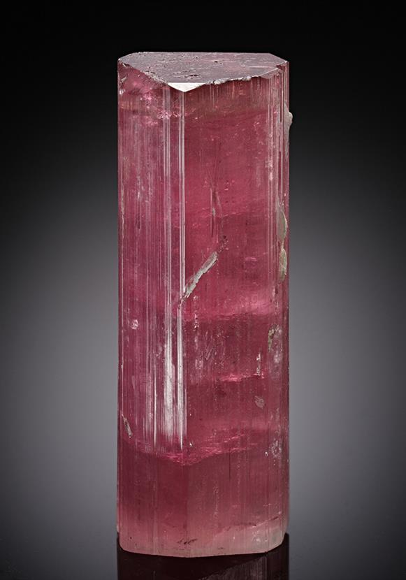 CC13356 specimen image