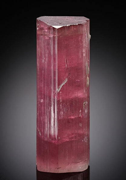CC13356 specimen image