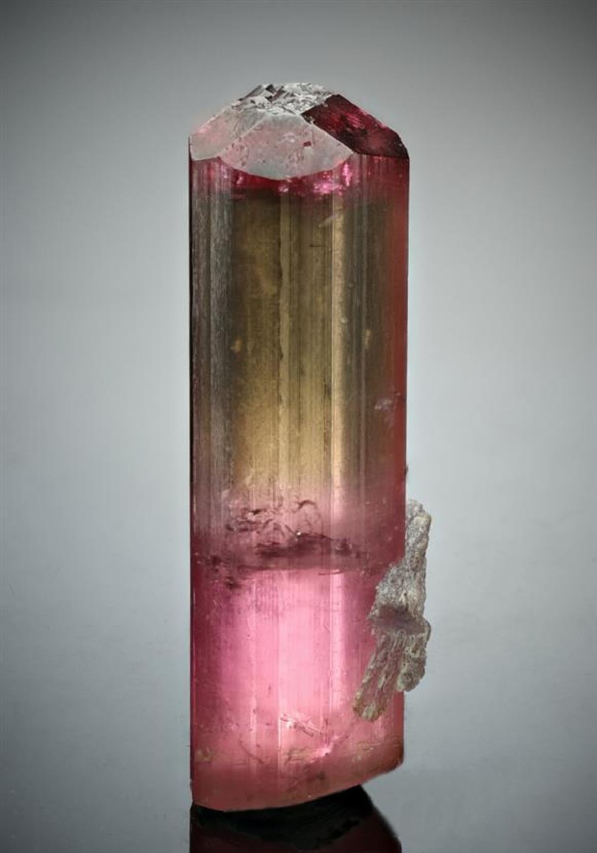 CC13357 specimen image