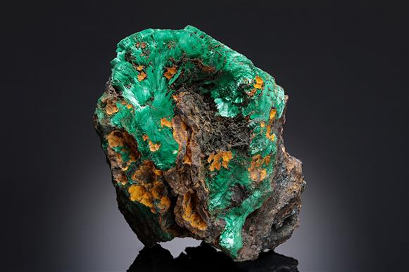CC13362 specimen image