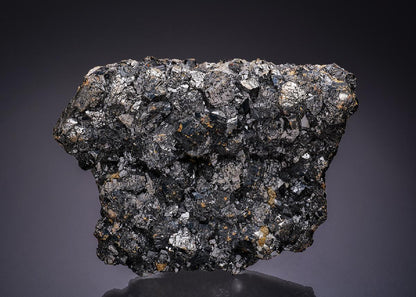 CC13386 specimen image