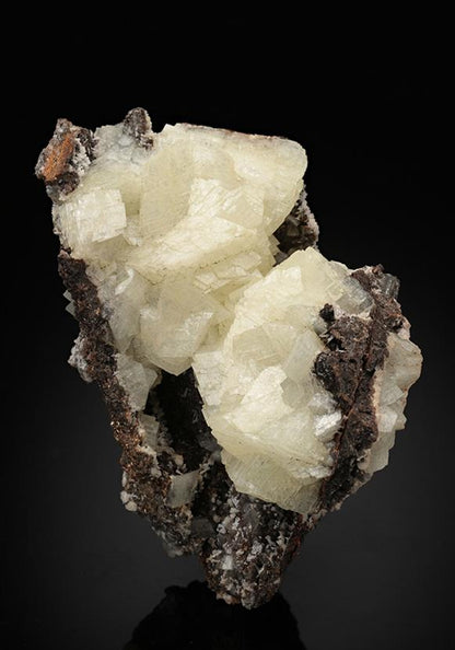 CC13391 specimen image