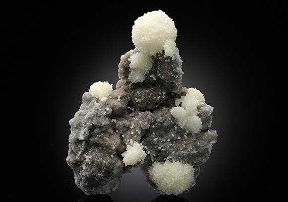 CC13392 specimen image