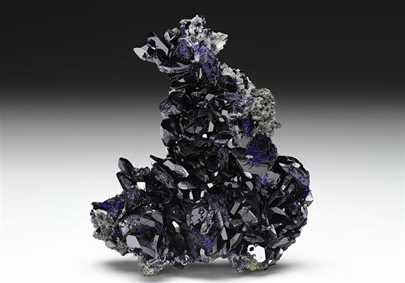 CC13393 specimen image