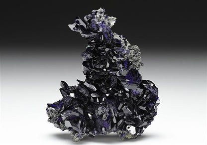 CC13393 specimen image