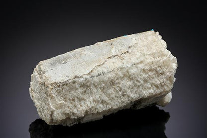 CC13395 specimen image