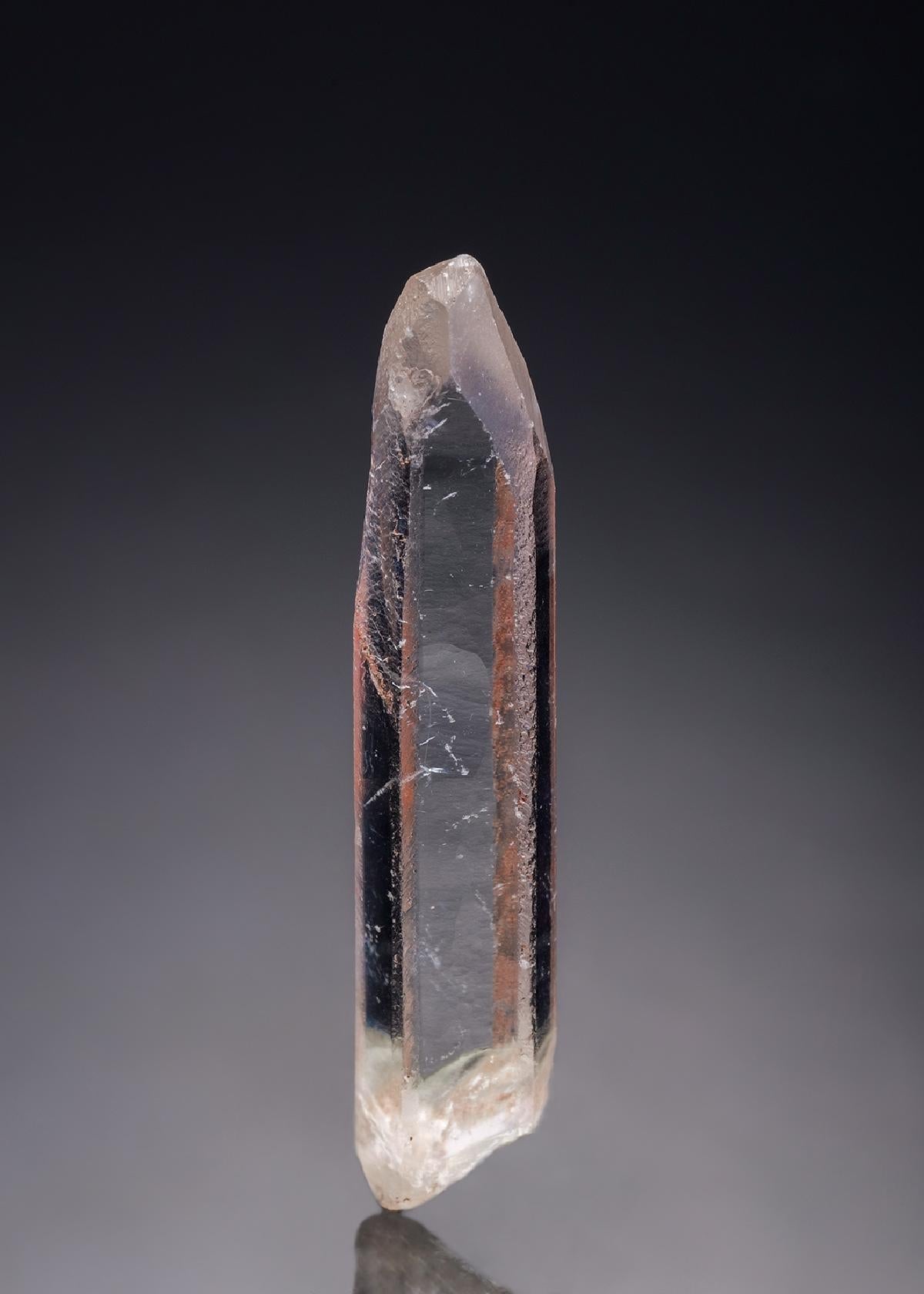 CC13402 specimen image