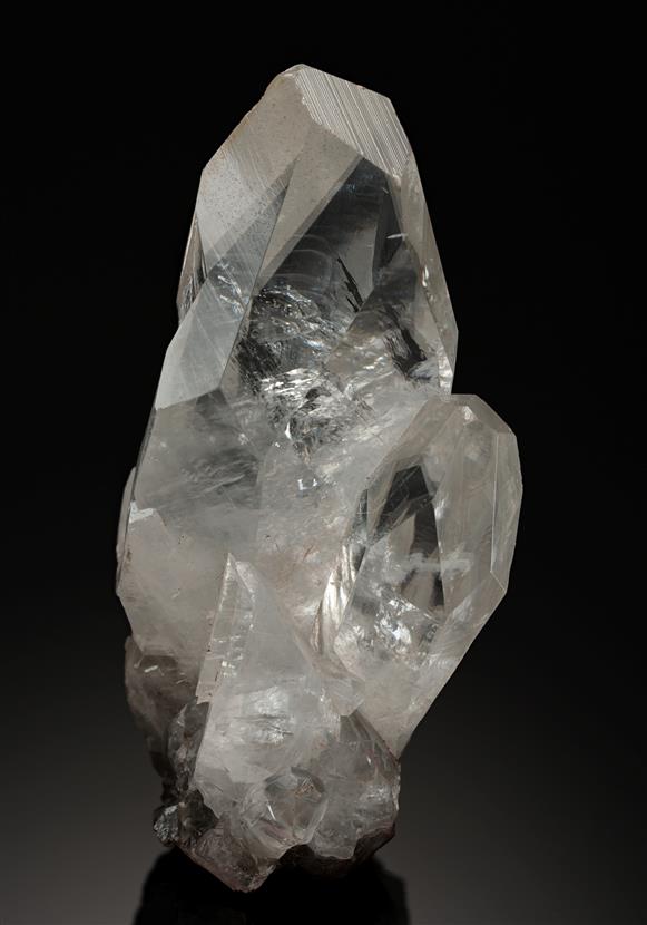 CC13404 specimen image