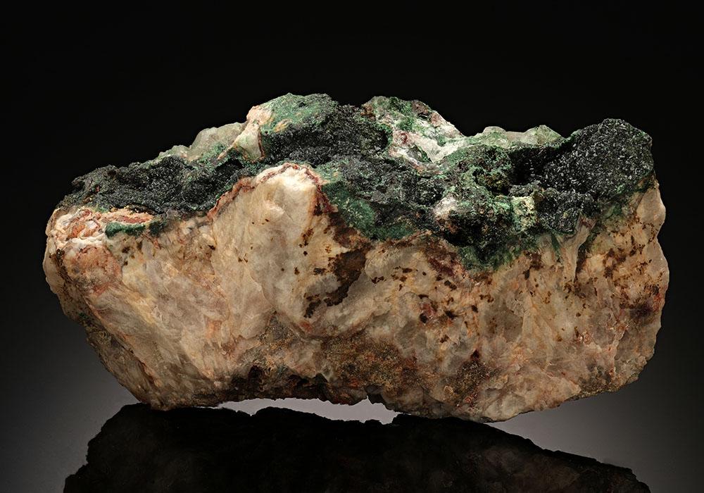 CC13425 specimen image