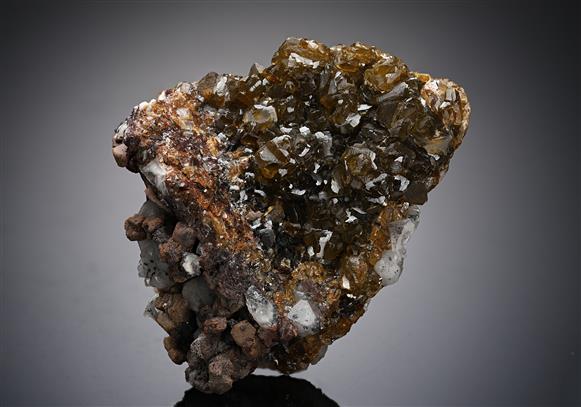 CC13426 specimen image