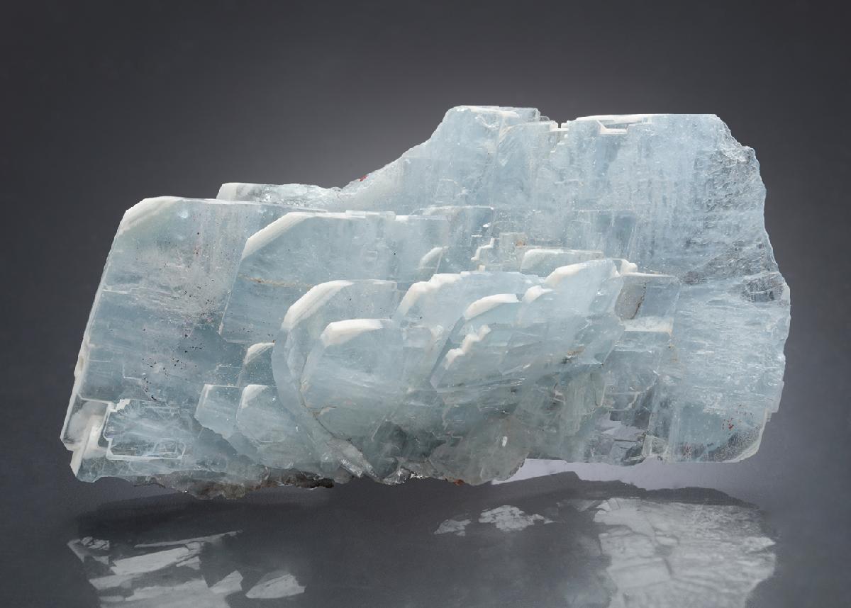 CC13437 specimen image