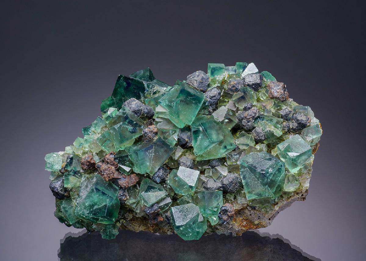 CC13447 specimen image