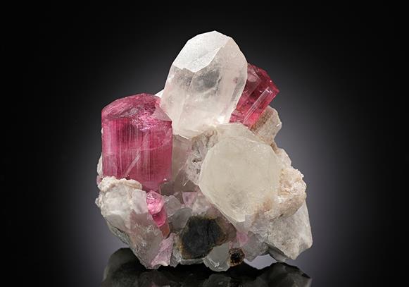 CC13459 specimen image