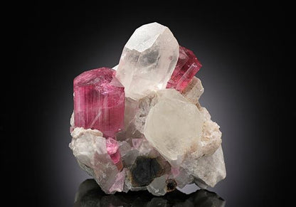 CC13459 specimen image