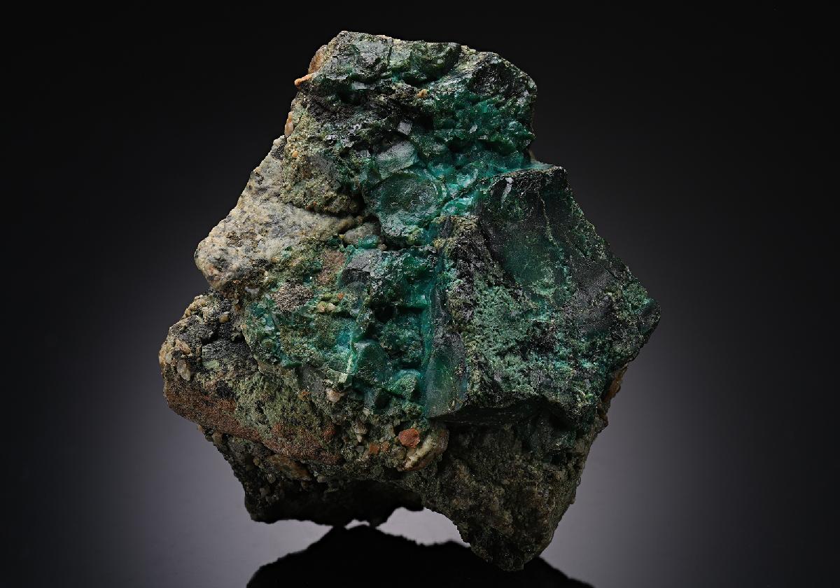 CC13467 specimen image