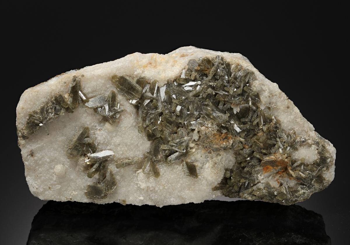CC13481 specimen image
