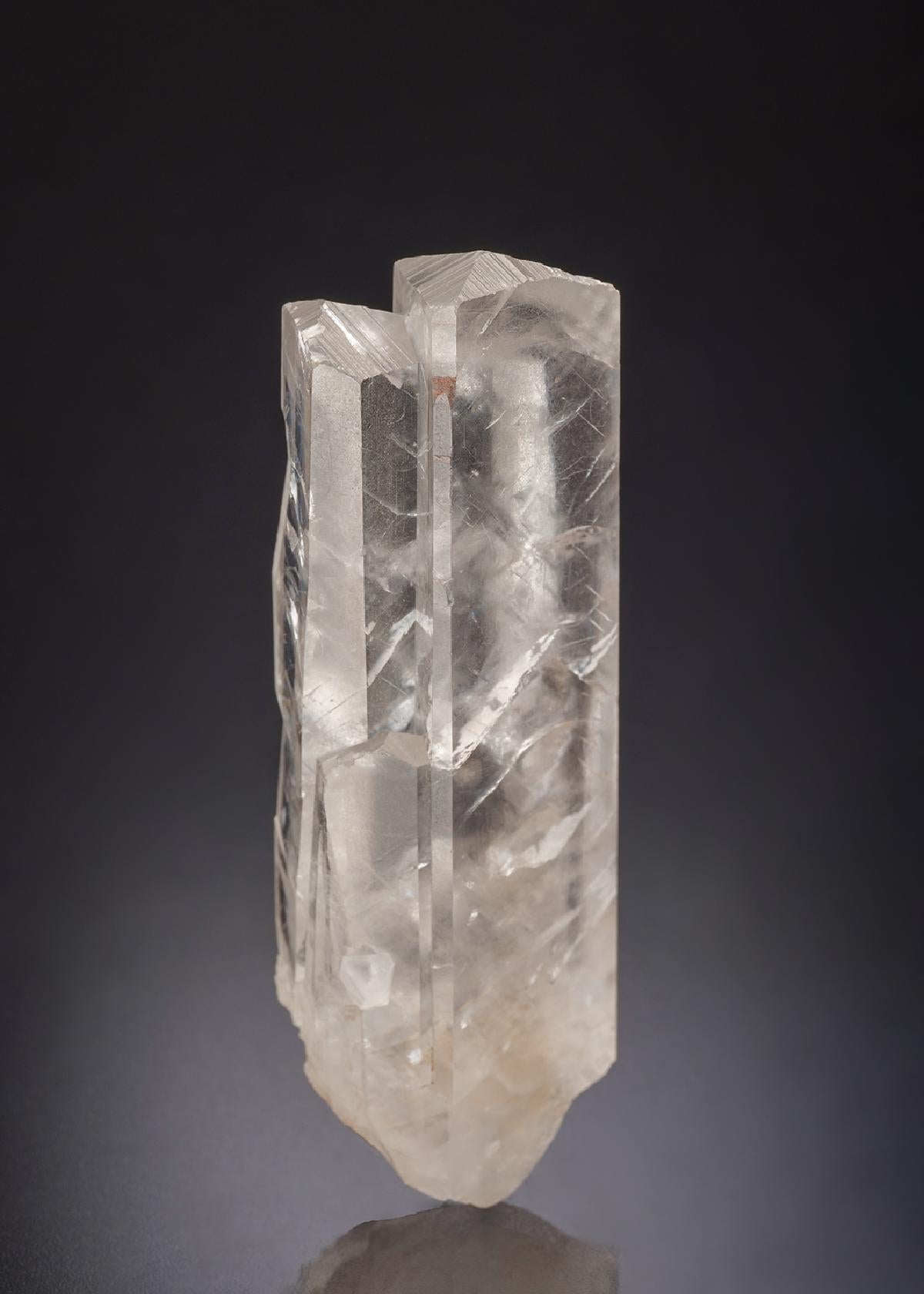 CC13491 specimen image
