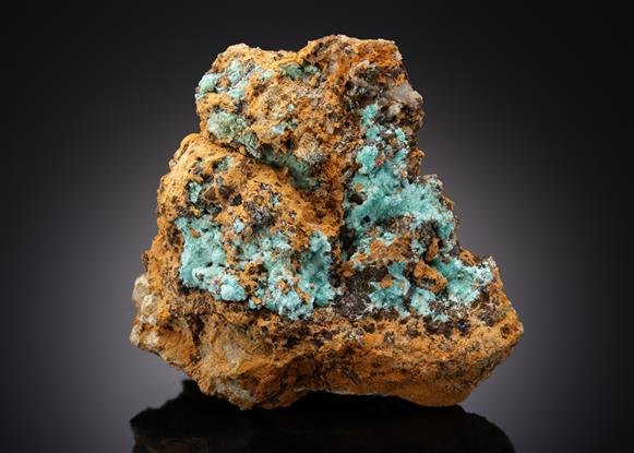 CC13494 specimen image