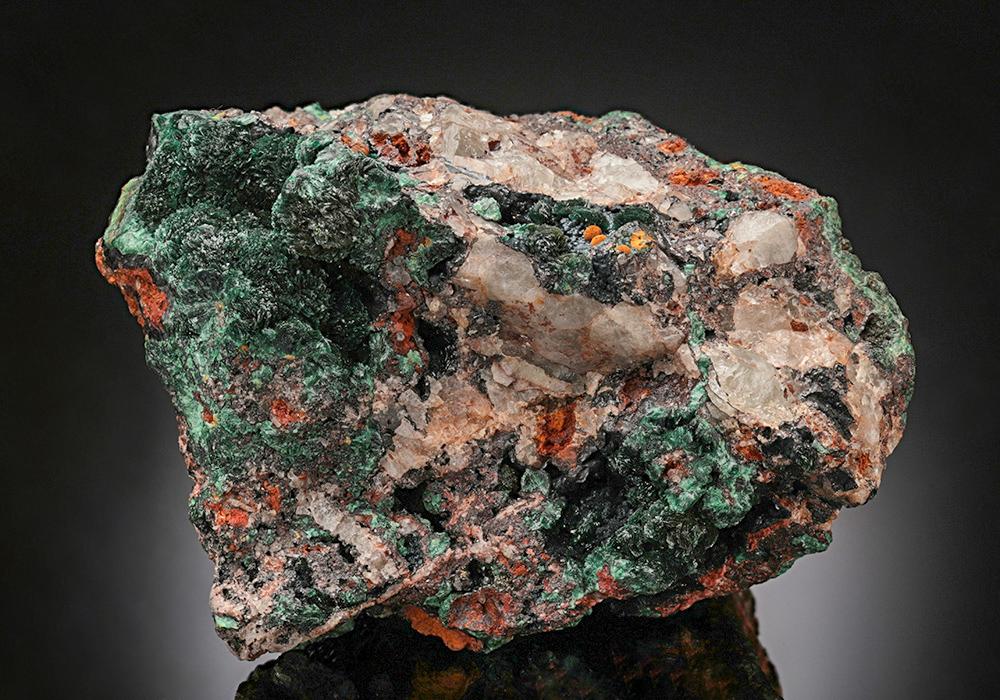 CC13511 specimen image