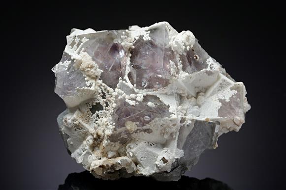 CC13518 specimen image