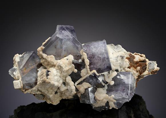 CC13522 specimen image