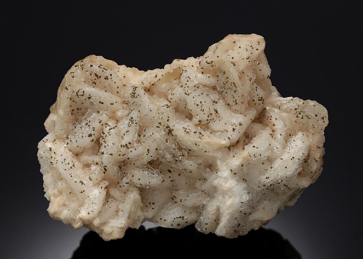 CC13527 specimen image