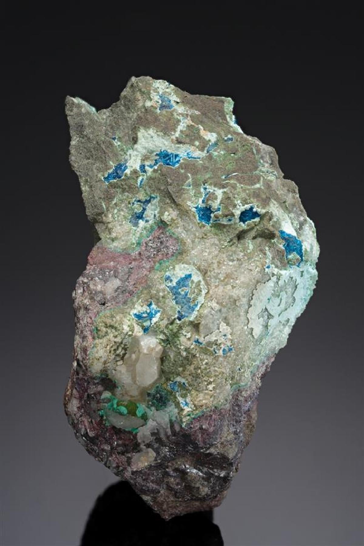CC13533 specimen image