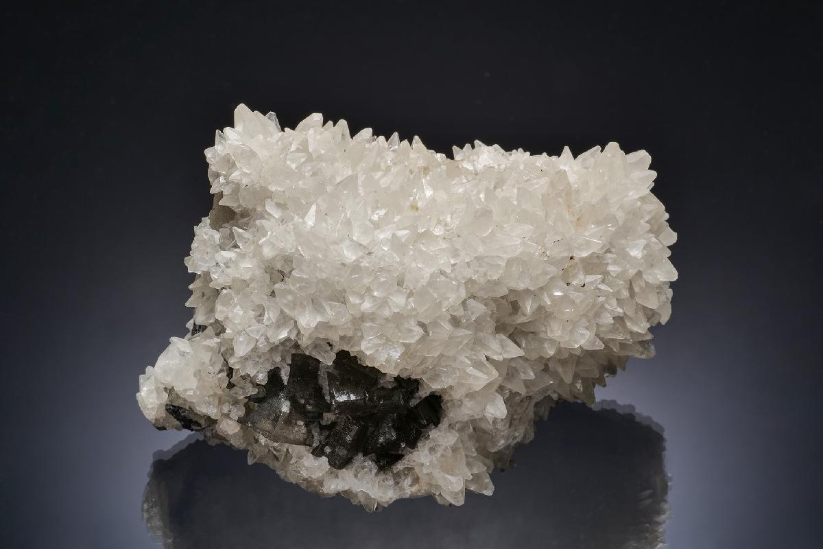 CC13546 specimen image