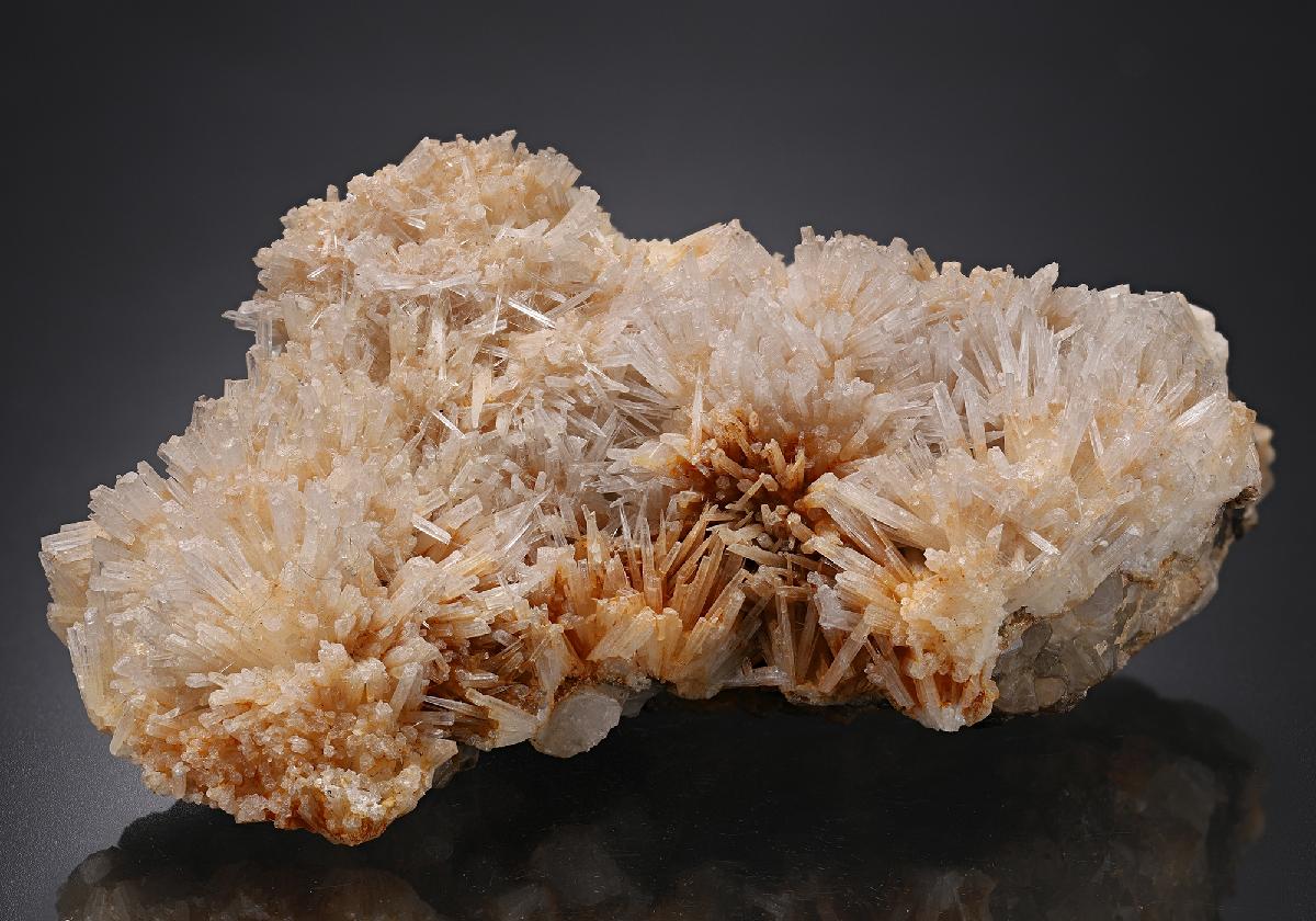 CC13550 specimen image