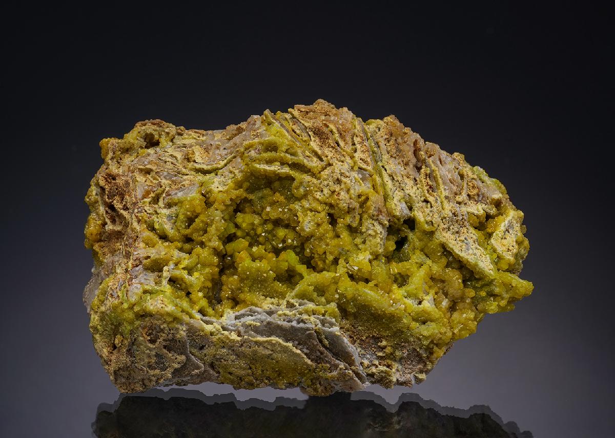 CC13551 specimen image